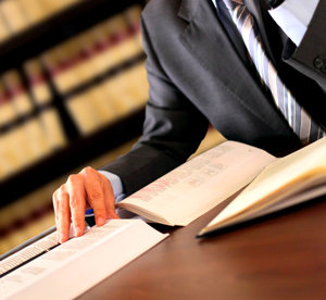 Expert on one legal area